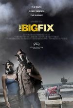Watch The Big Fix 9Movies
