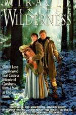 Watch Miracle in the Wilderness 9Movies