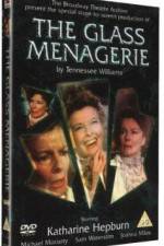 Watch The Glass Menagerie 9Movies