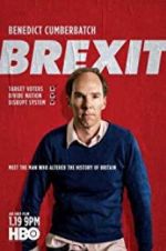 Watch Brexit: The Uncivil War 9Movies