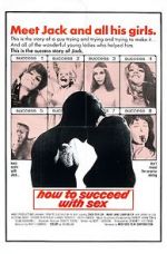 Watch How to Succeed with Sex 9Movies