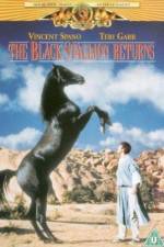 Watch The Black Stallion Returns 9Movies