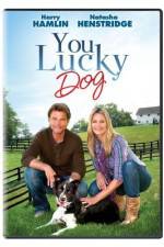 Watch You Lucky Dog 9Movies