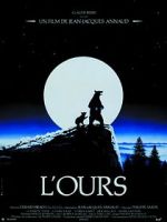 Watch The Bear 9Movies