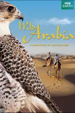 Watch Wild Arabia 9Movies
