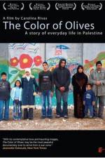 Watch The Color of Olives 9Movies