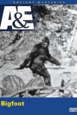 Watch A&E Ancient Mysteries - Bigfoot 9Movies