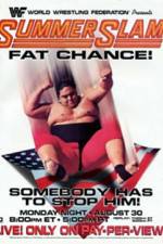 Watch Summerslam 9Movies