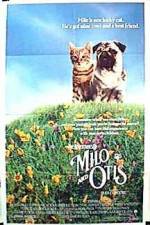 Watch Milo & Otis 9Movies