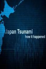 Watch Japan Tsunami: How It Happened 9Movies
