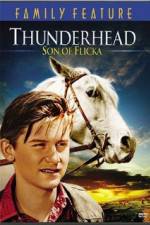 Watch Thunderhead - Son of Flicka 9Movies