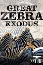 Watch Nature: Great Zebra Exodus 9Movies