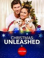 Watch A Doggone Christmas 9Movies
