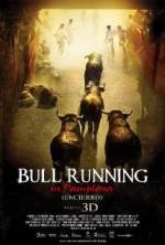 Watch Encierro 3D: Bull Running in Pamplona 9Movies