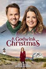 Watch A Godwink Christmas 9Movies