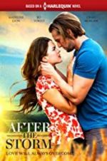 Watch After the Storm 9Movies