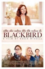 Watch Blackbird 9Movies