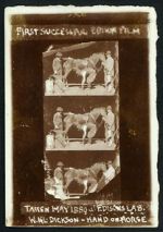 Watch Horse Shoeing 9Movies