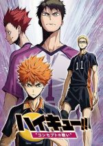 Watch Haiky�!! Concept no Tatakai 9Movies