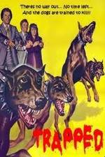 Watch Trapped 9Movies
