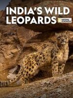 Watch India\'s Wild Leopards (Short 2020) 9Movies