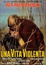 Watch Violent Life 9Movies