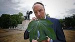 Watch Fig Leaf: The Biggest Cover-Up in History 9Movies