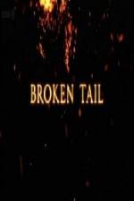 Watch A Tiger Called Broken Tail 9Movies