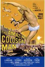 Watch The Amazing Colossal Man 9Movies