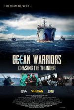 Watch Chasing the Thunder 9Movies