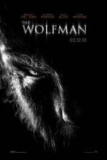 Watch The Wolfman 9Movies