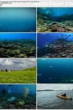Watch National Geographic: Pacific Ocean Paradise 9Movies