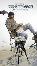 Watch PPP Loan Gone 9Movies