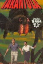 Watch Tarantula 9Movies