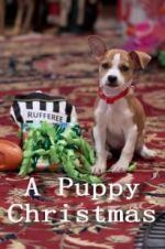 Watch A Puppy Christmas 9Movies