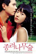 Watch The Windmill Palm Grove 9Movies