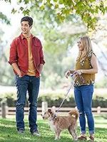Watch Hometown Hero 9Movies