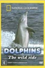 Watch Dolphins: The Wild Side 9Movies