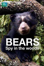 Watch Bears: Spy in the Woods 9Movies