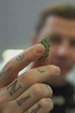 Watch Professor Green: Is It Time to Legalise Weed? 9Movies
