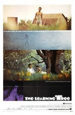 Watch The Learning Tree 9Movies