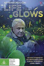 Watch Attenborough\'s Life That Glows 9Movies