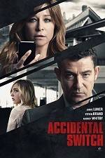 Watch Accidental Switch 9Movies