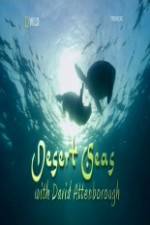 Watch National Geographic Desert Seas 9Movies