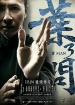 Watch Ip Man 3 9Movies