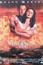 Watch A Walk in the Clouds 9Movies