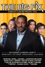 Watch The Big Fix 9Movies