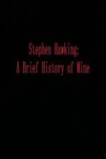 Watch Stephen Hawking A Brief History of Mine 9Movies