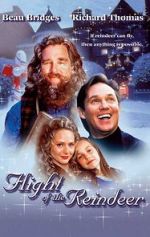 Watch The Christmas Secret 9Movies