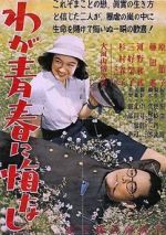 Watch No Regrets for Our Youth 9Movies
